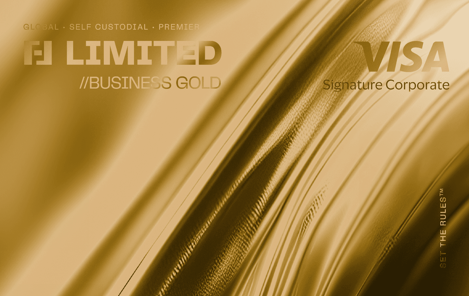 Limited Visa business card